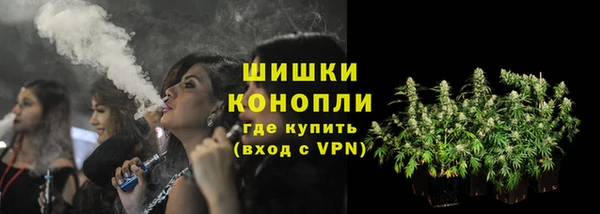 гашик Белокуриха