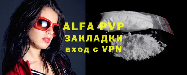 гашик Белокуриха
