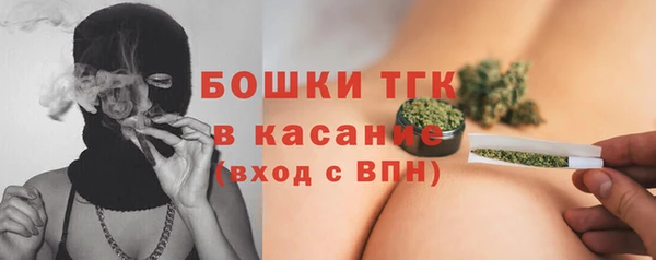 гашик Белокуриха